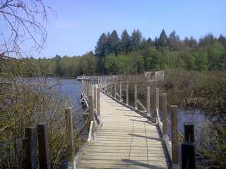 aire de MONTSAUCHE-LES-SETTONS