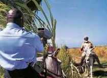 images humoristiques