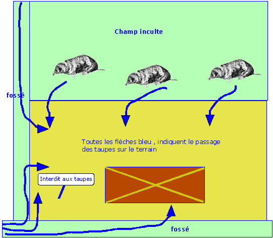 chemin pour les taupes